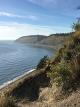 Hiking with Valentine - Ebey's Landing Trailthe Only National Historical Reserve of U.S. [OV]
