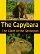 The Capybara: The Giant of the Savannah [OV]