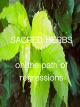 Sacred Herbs [OV]