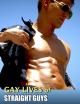 Gay Lives of Straight Guys [OV]