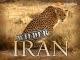 Wilder Iran