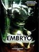 The Embryo