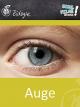 Auge - Schulfilm Biologie