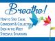 Breathe - Discover a Simple Guide to Putting an End to Stress and Wasted Time [OV]