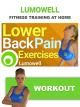 Lower Back Pain Exercises and Stretches at Home [OV]