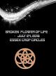 Broken Flower of Life - 7/24/16 Essex Crop Circles [OV]
