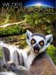 Wildes Madagaskar: Die Insel der Lemuren