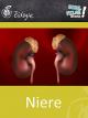 Niere - Schulfilm Biologie