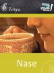 Nase - Schulfilm Biologie