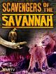Scavengers of the Savannah [OV]