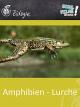 Amphibien - Lurche - Schulfilm Biologie