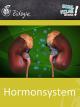 Hormonsystem - Schulfilm Biologie