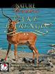 Nature Wonders - Lake Baringo [OV]