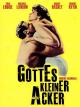 Gottes kleiner Acker
