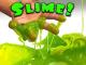 DIY Slime!