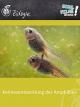 Keimesentwicklung der Amphibien - Schulfilm Biologie