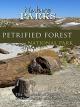 Nature Parks - Petrified ForestArizona [OV]