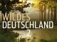 Expeditionen ins TierreichStaffel 12