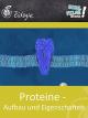 Proteine - Aufbau und Eigenschaften - Schulfilm Biologie
