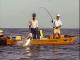 Catching Huge Costa Rica Tarpon
