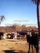 Maghreb Maghreb - Across Atlas Mountains [OV]