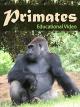 Primates [OV]