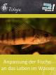 Anpassung der Fische an das Leben im Wasser - Schulfilm Biologie