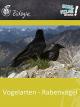 Vogelarten - Rabenvögel - Schulfilm Biologie