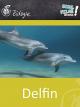 Delfin - Schulfilm Biologie