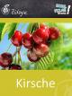 Kirsche - Schulfilm Biologie