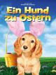 Ein Hund zu Ostern