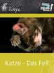 Katze - Das Fell - Schulfilm Biologie