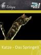 Katze - Das Springen - Schulfilm Biologie