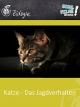 Katze - Das Jagdverhalten - Schulfilm Biologie