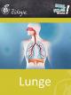 Lunge - Schulfilm Biologie