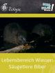 Lebensbereich Wasser: Säugetiere Biber - Schulfilm Biologie