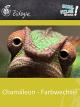 Chamäleon - Farbwechsel - Schulfilm Biologie
