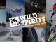 Wild Spirits - Sport Magazin Serie