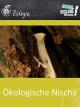 Ökologische Nische - Schulfilm Biologie