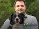 Der VIP-Hundeprofi (Staffel 5)