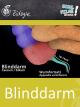 Blinddarm - Schulfilm Biologie