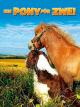Ein Pony für Zwei