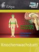 Knochenwachstum - Schulfilm Biologie