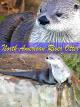 Clip: North American River Otter [OV]