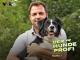 Der Hundeprofi (Staffel 7)