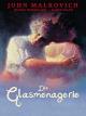 Die Glasmenagerie