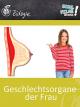 Geschlechtsorgane der Frau - Schulfilm Biologie