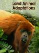 Land Animal Adaptations [OV]
