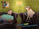 Der VIP-Hundeprofi (Staffel 4)
