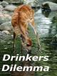 Drinkers Dilemma [OV]